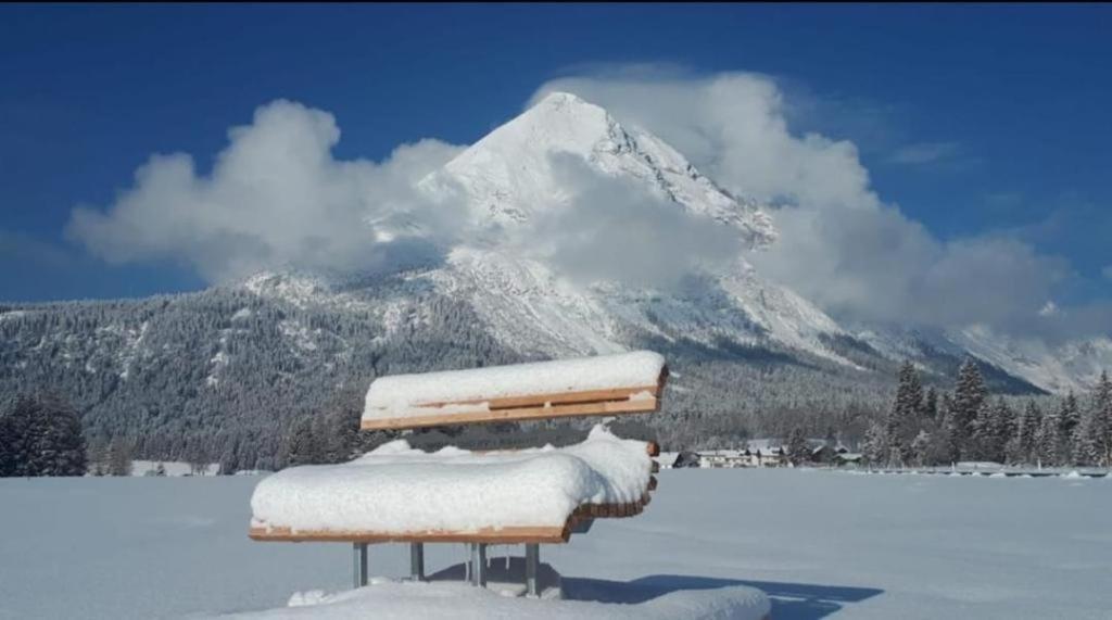 Alpenchalet Im Leutaschtal Dış mekan fotoğraf